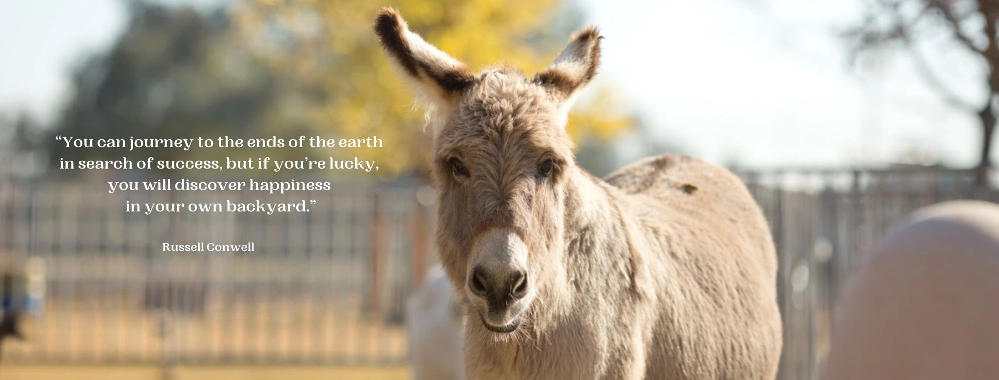 The Backyard Barnyard Sanctuary